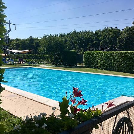 Agriturismo Corte Pellegrini サン・マルティーノ・ブオン・アルベルゴ エクステリア 写真