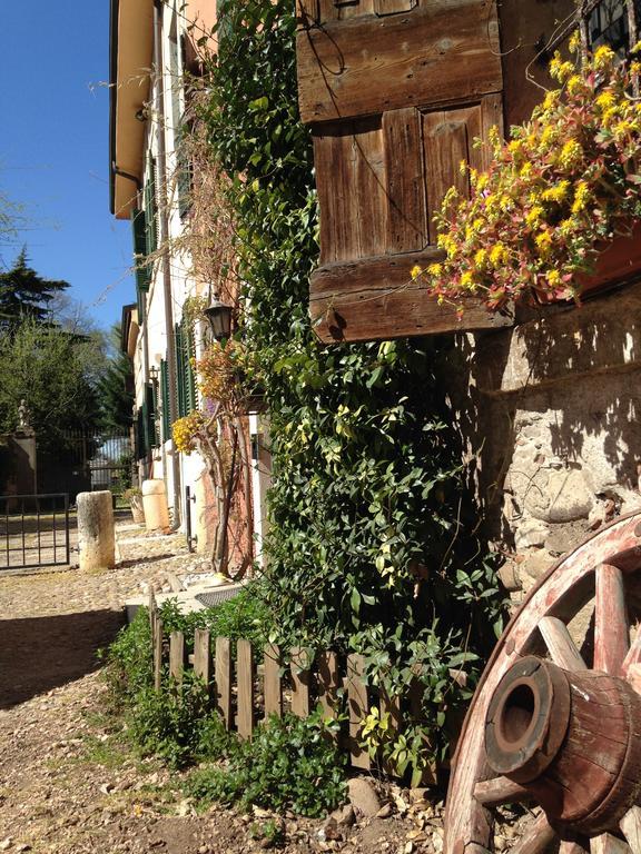 Agriturismo Corte Pellegrini サン・マルティーノ・ブオン・アルベルゴ エクステリア 写真