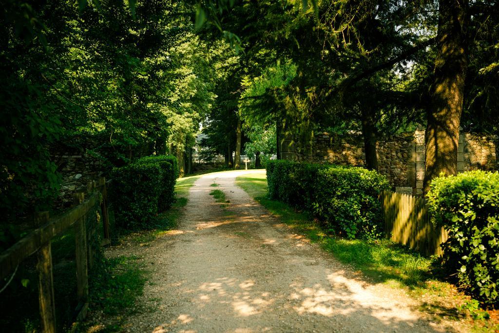 Agriturismo Corte Pellegrini サン・マルティーノ・ブオン・アルベルゴ エクステリア 写真